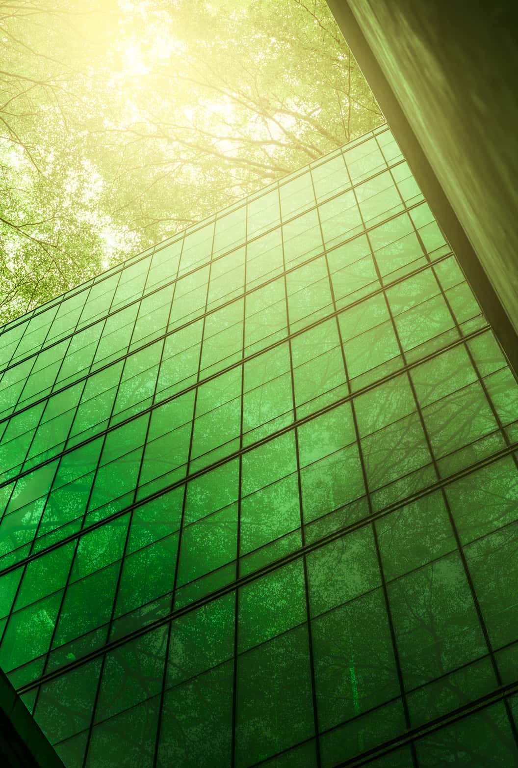 Cabañero & sostenibilidad